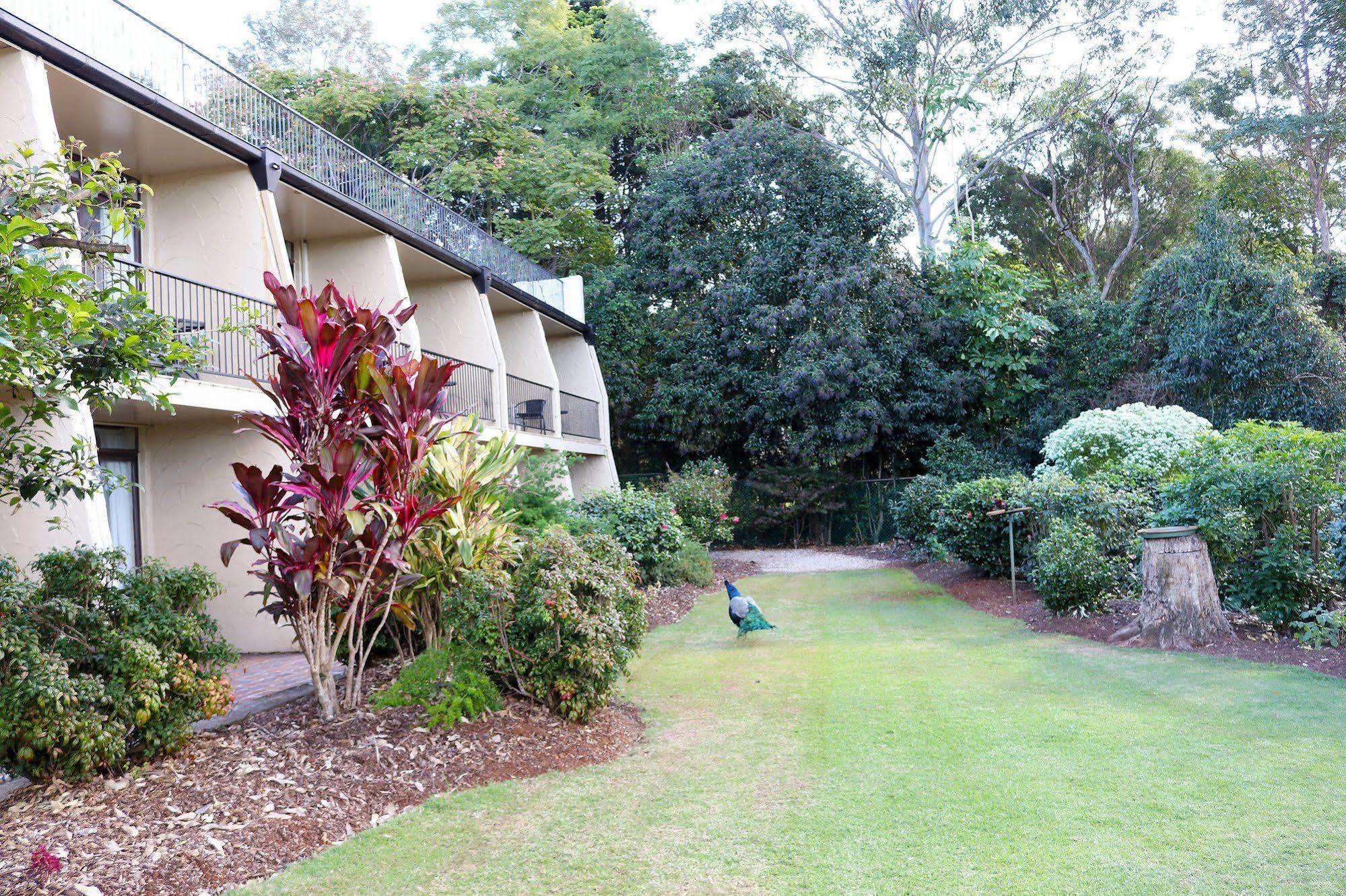The Tamborine - Boutique Hotel Mount Tamborine Eksteriør billede